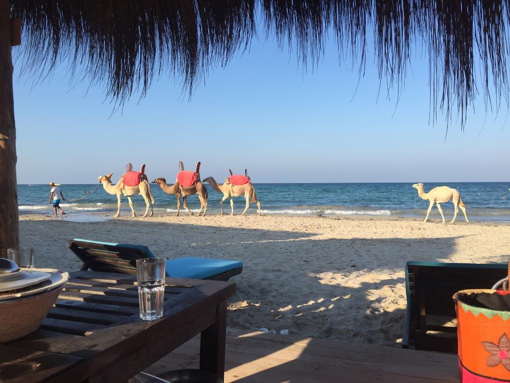 Hotel Djerba Orient Mezraia Εξωτερικό φωτογραφία